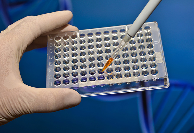 Bioassays